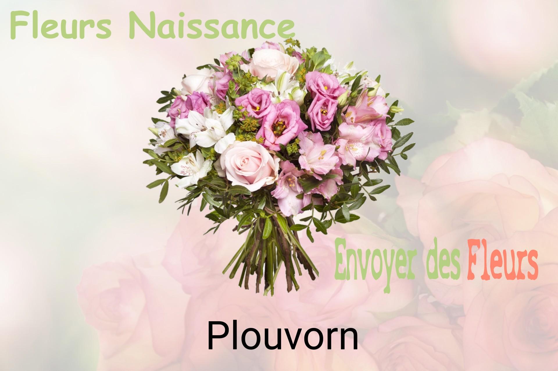 Bouquet de fleurs de naissance livré à Plouvorn